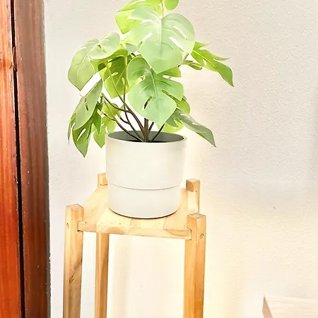 Casa Cándida Parking Y Wifi Incluido Oviedo